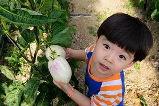 娱乐吃瓜酱爷爷打伞,娱乐界的温馨一幕